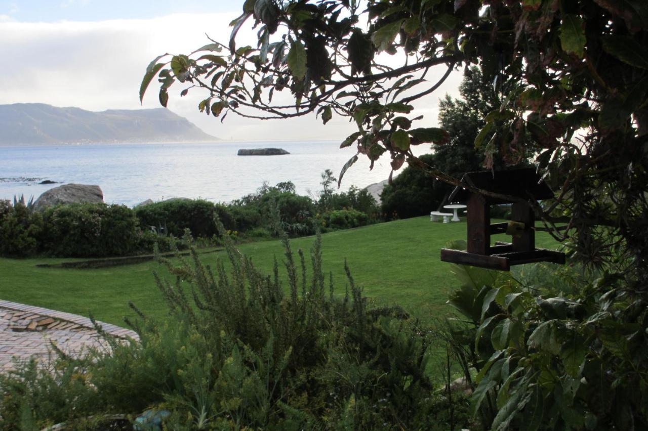 Bosky Dell On Boulders Beach بلدة سيمون المظهر الخارجي الصورة