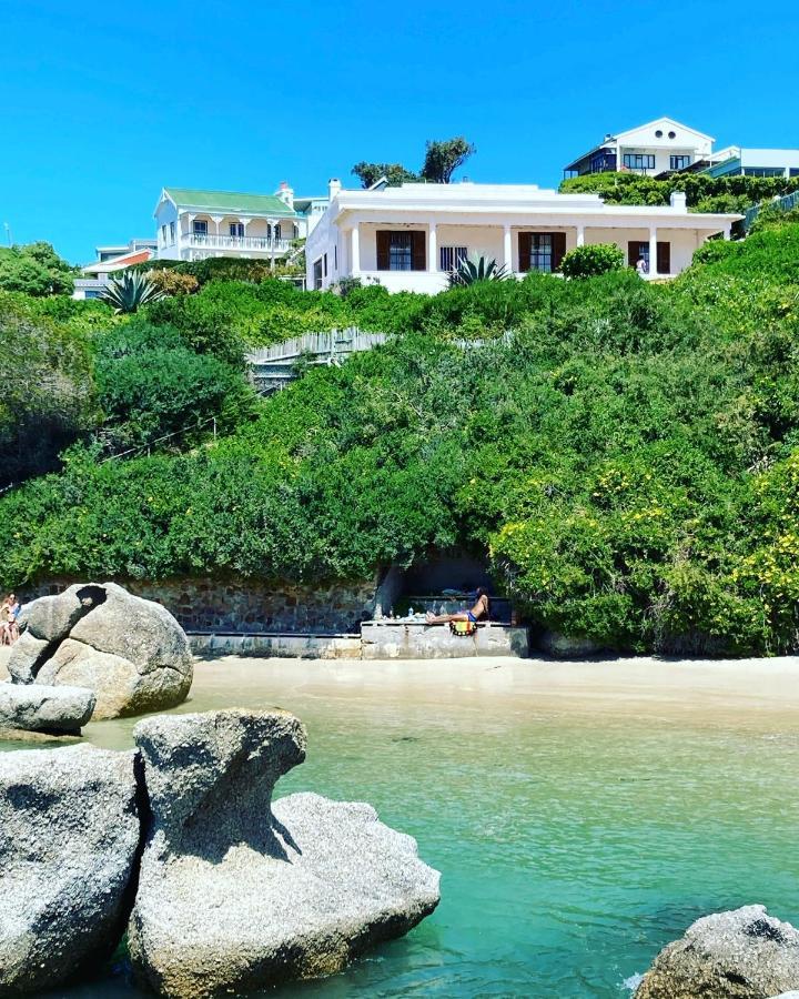 Bosky Dell On Boulders Beach بلدة سيمون المظهر الخارجي الصورة
