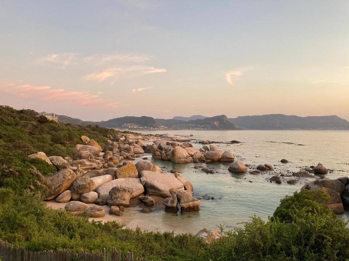 Bosky Dell On Boulders Beach بلدة سيمون المظهر الخارجي الصورة