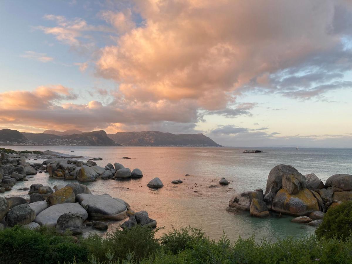 Bosky Dell On Boulders Beach بلدة سيمون المظهر الخارجي الصورة